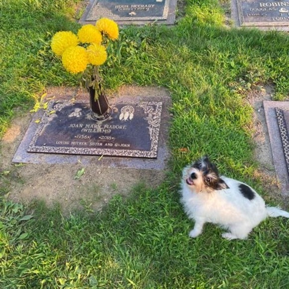 Meet your Posher, Joni - Picture 1 of 1